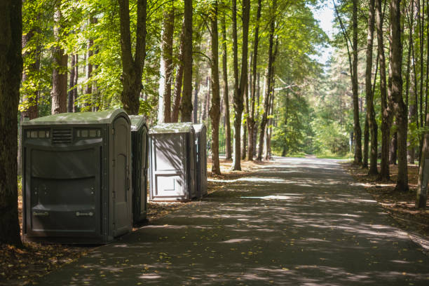 Affordable portable toilet rental in Mascoutah, IL