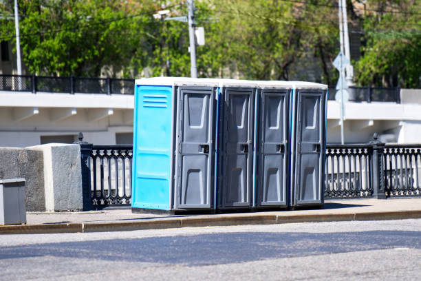 Best Luxury portable toilet rental  in Mascoutah, IL